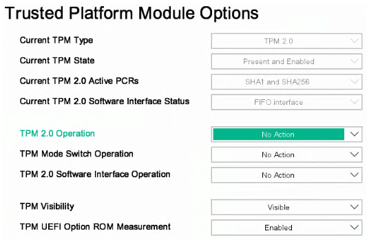 TPM 2.0 on host